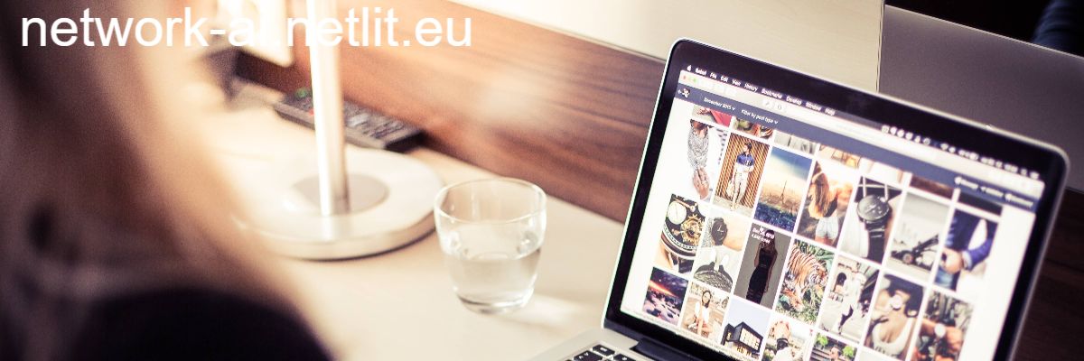 network-ai.netlit.eu